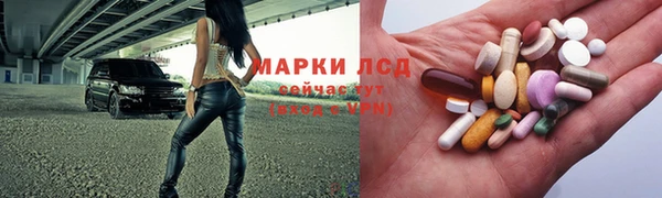стафф Алексин