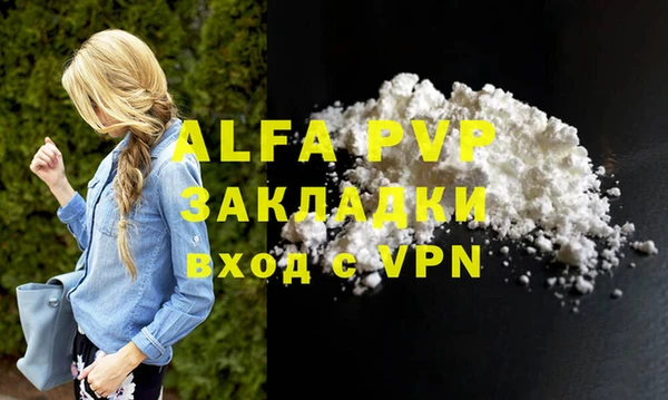 стафф Алексин