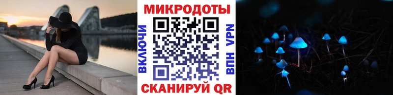 Галлюциногенные грибы Psilocybe  Бердск 