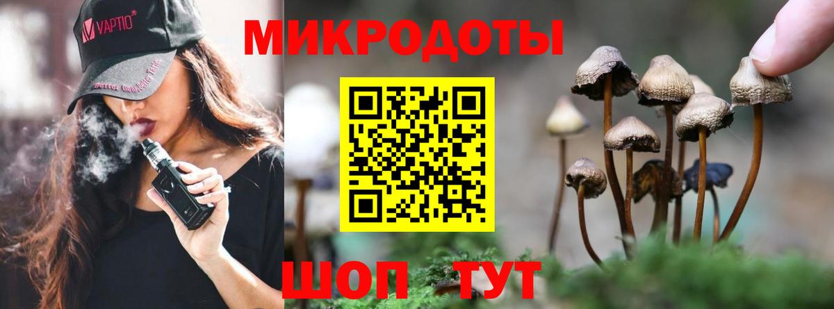Бердск  Галлюциногенные грибы прущие грибы  Вход с VPN 