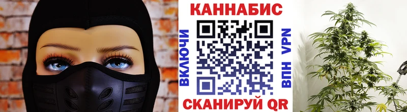 кракен зеркало  сколько стоит  Бердск  МАРИХУАНА SATIVA & INDICA 